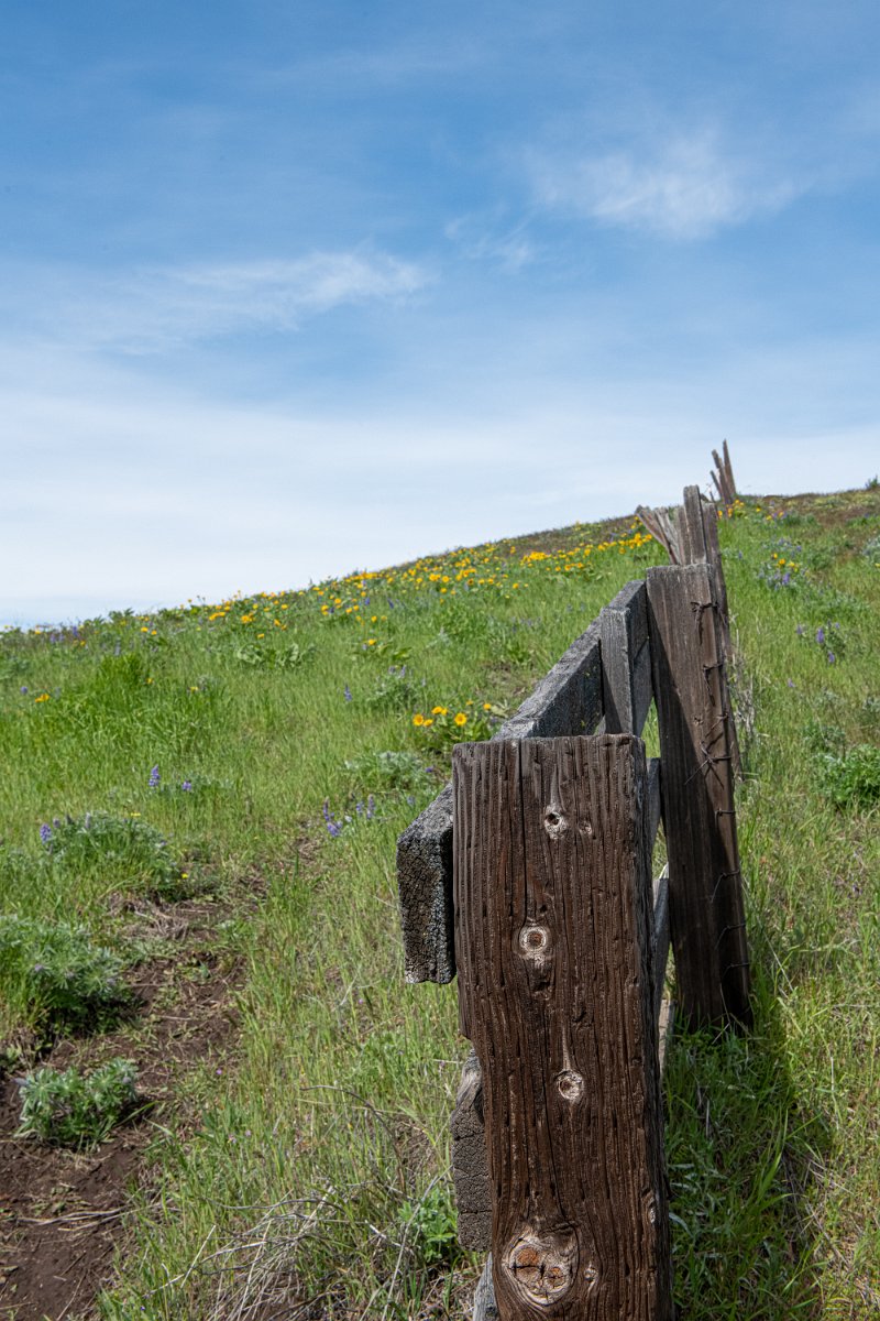D85_7355.jpg - The Dalles Mountain Ranch