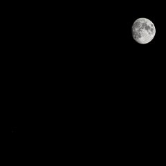 Z09_8998-Edit