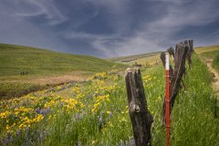 D85_7864-Edit