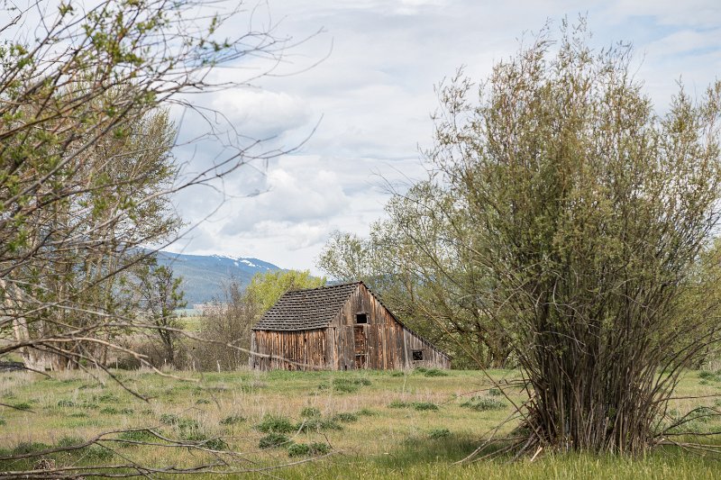 D05_7672.jpg - Abandoned, Farm, Joseph Oregon