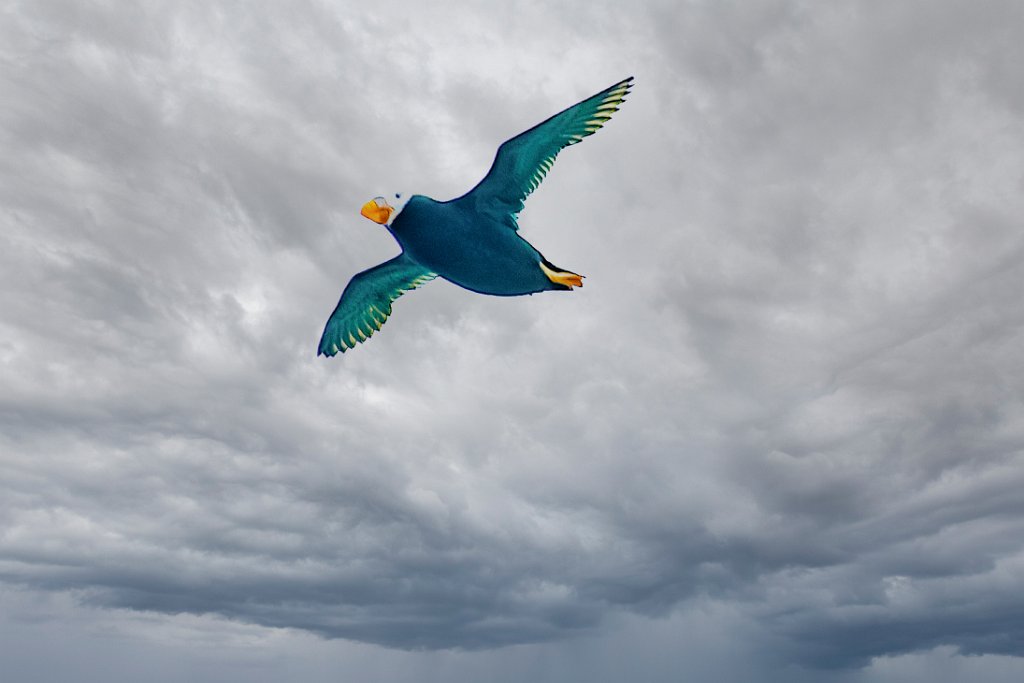 Tufted Puffin-Edit.jpg - Tufted Puffin