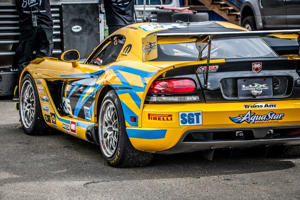 D85_6609.jpg - Trans-Am Viper