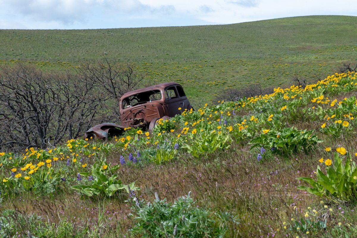 D85_7359.jpg - 1937 Chevrolet - The Dalles Mountain Ranch