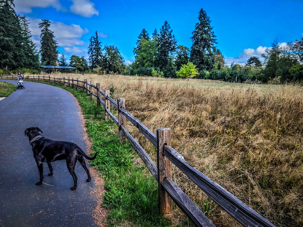 20230913_105207-Edit.jpg - Hike in the park