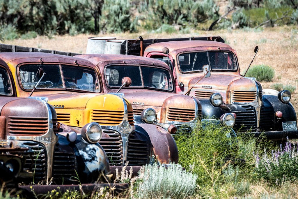 D85_1823.jpg - Old cars and Tractors, Grass Valley, OR