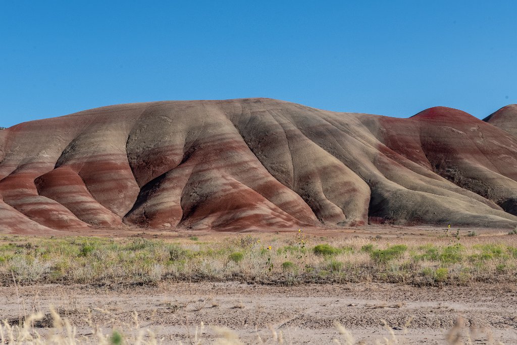 D85_1916.jpg - Painted Hills Unit, John Day Fossil Beds