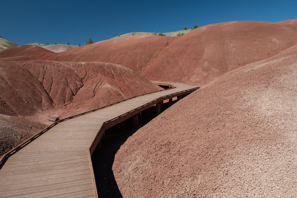 D85_2191.jpg - Painted Hills Unit, John Day Fossil Beds