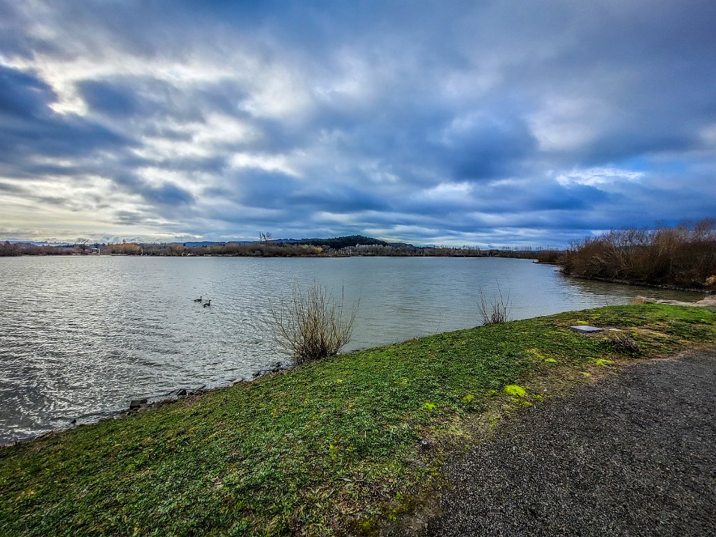 20240212_094742.jpg - Fernhill Wetlands