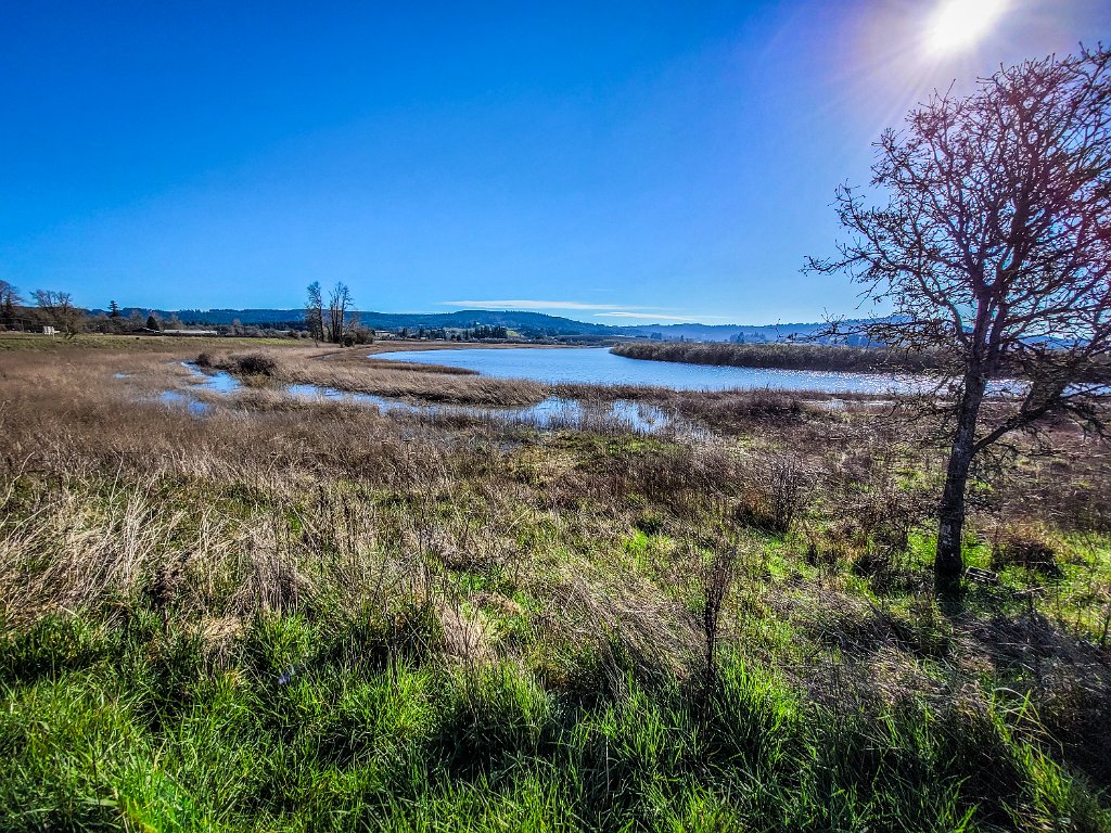 20240315_101549.jpg - Wapato Lake NWR