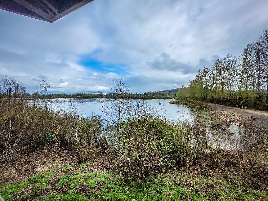 20240324_160356.jpg - Fernhill Wetlands