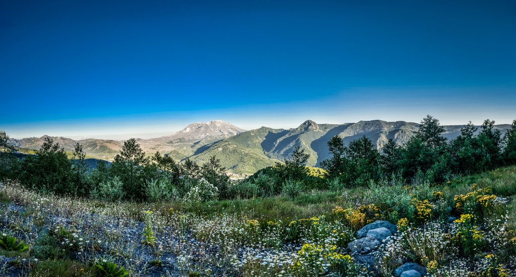 D85_6632-Pano-Edit.jpg - Mt. St. Helens