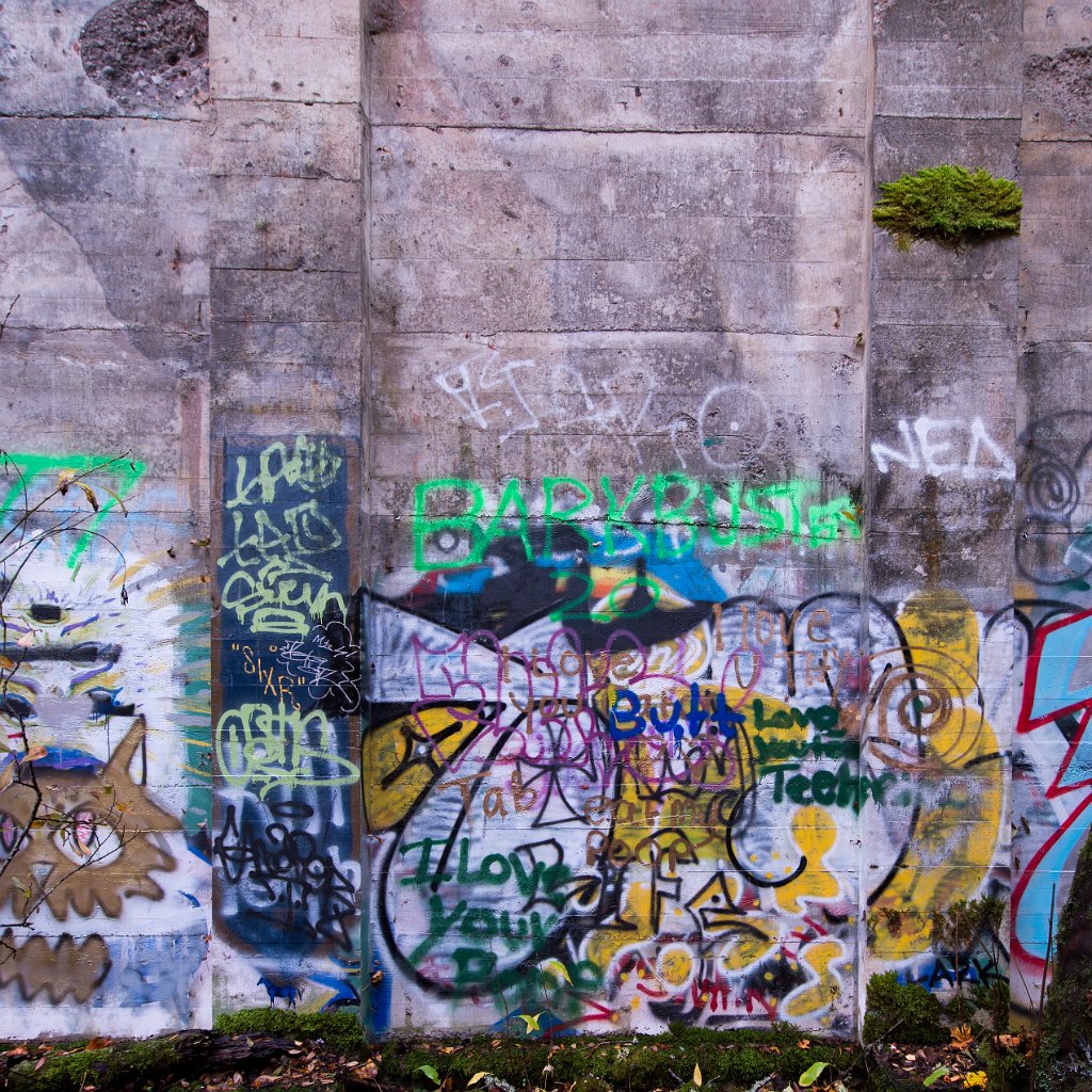 D04_3284.jpg - Fuel Bunker, Vernonia, Oregon