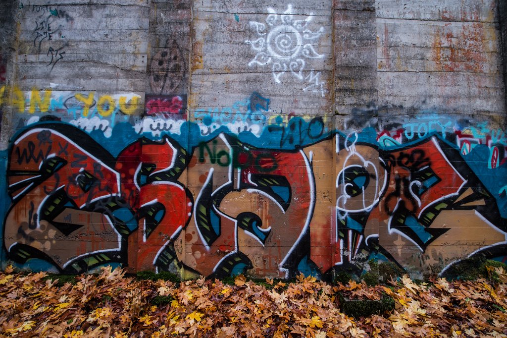 D04_3298.jpg - Fuel Bunker, Vernonia, Oregon