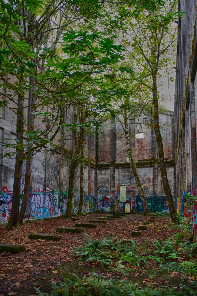 DSC_1033_HDR.jpg - Fuel Bunker, Vernonia, Oregon