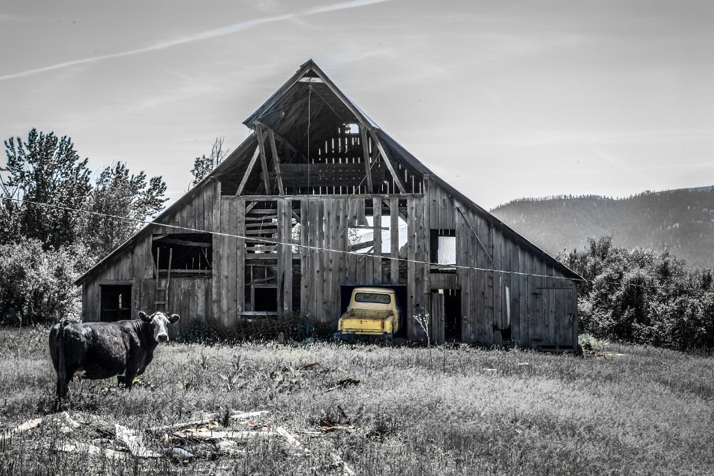 D05_8904-Edit.jpg - Yellow Pickup, Halfway, OR