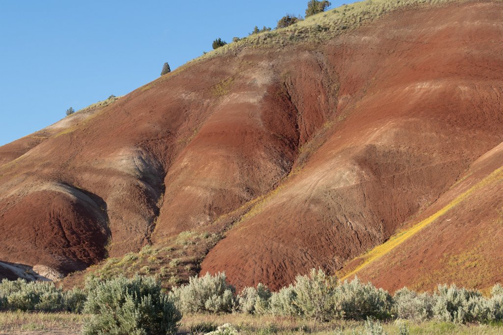 D05_9828.jpg - John Day Fossil Beds, Painted Hills Unit