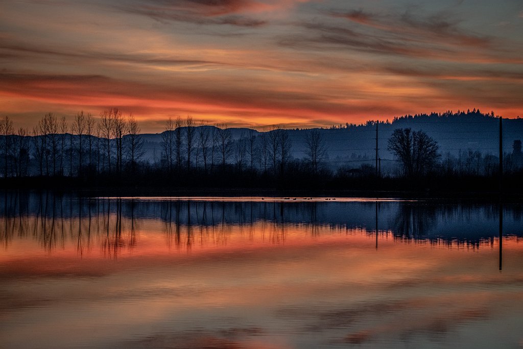 D85_4622.jpg - Sunset, Fernhill Wetlands