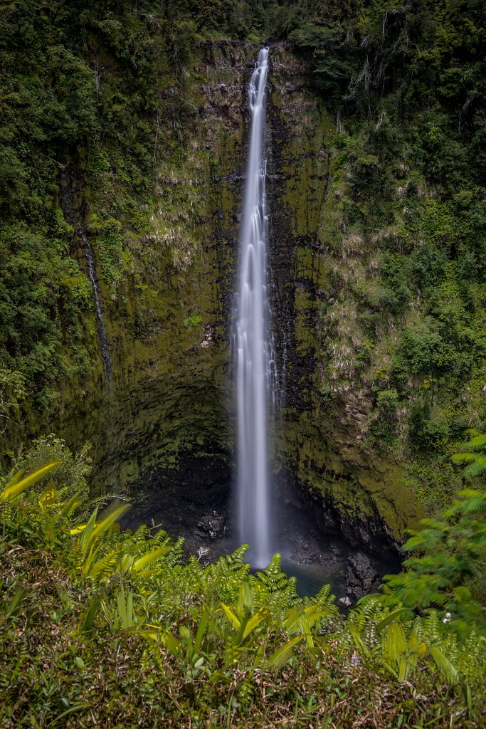 Akaka Falls-0009.jpg - Alaka Falls (Maui)