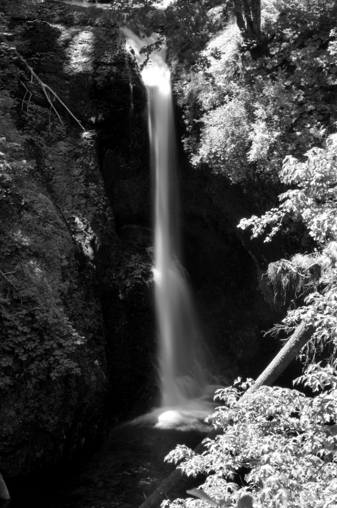 Butte_Creek_Falls-0004.jpg - Butte Creek Falls