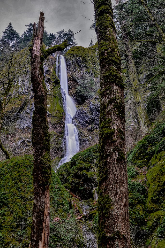 D04_2998_HDR-Edit.jpg - Starvation Creek Falls