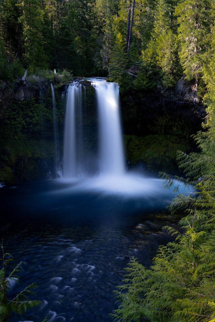 D85_3427.jpg - Koosah Falls