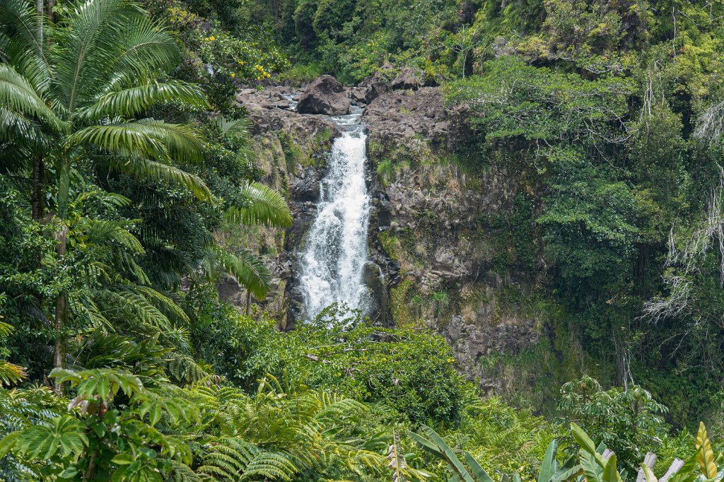 Hilo Falls-0001.jpg - Hilo Falls (Hawaii)