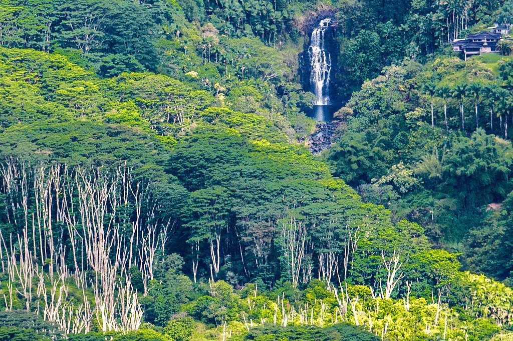Kulaniapia Falls-0002.jpg - Kulaniapia Falls (Hawaii)