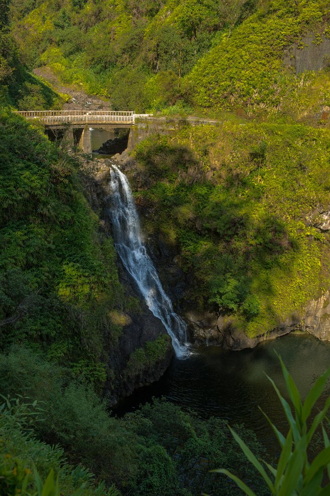 Makapipi Falls-0003.jpg - Makapipi Falls (Maui)
