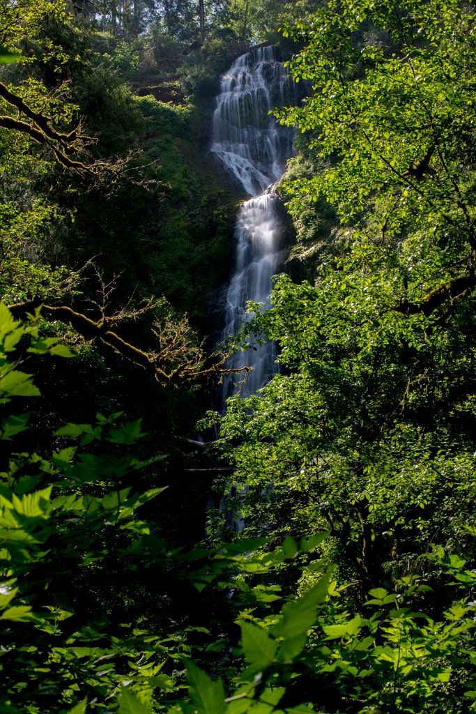 Munson_Creek_Falls-0011.jpg - Munson Creek Falls