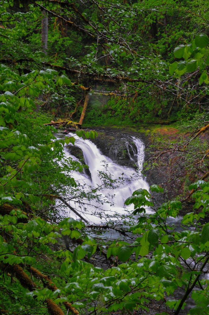 Twin_Falls-0001.jpg - Twin Falls (Silver Creek)