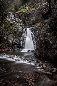 Dog Creek Falls-0014